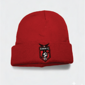 TS Galaxy Beanie